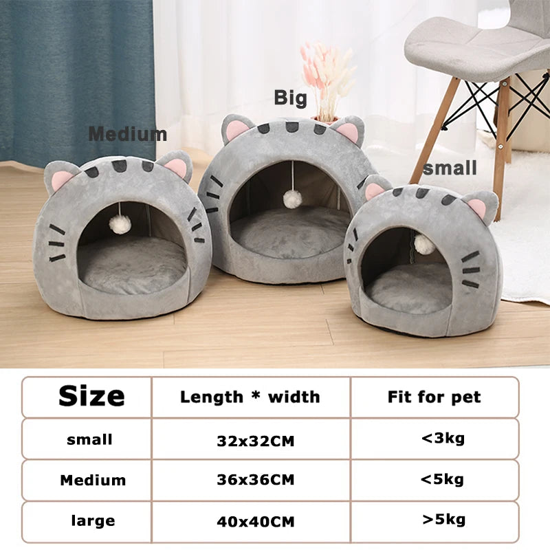 Cat House