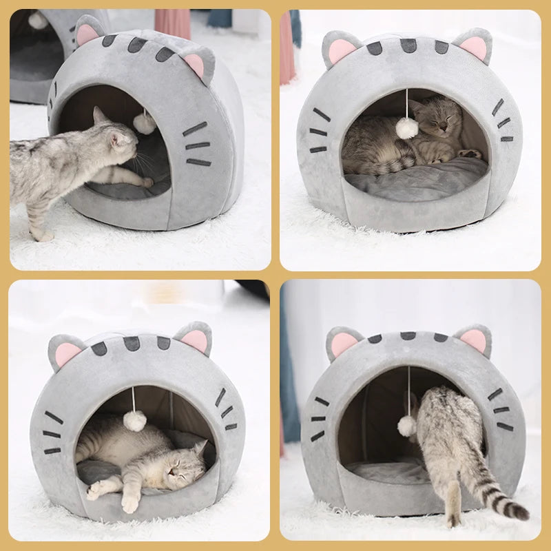 Cat House