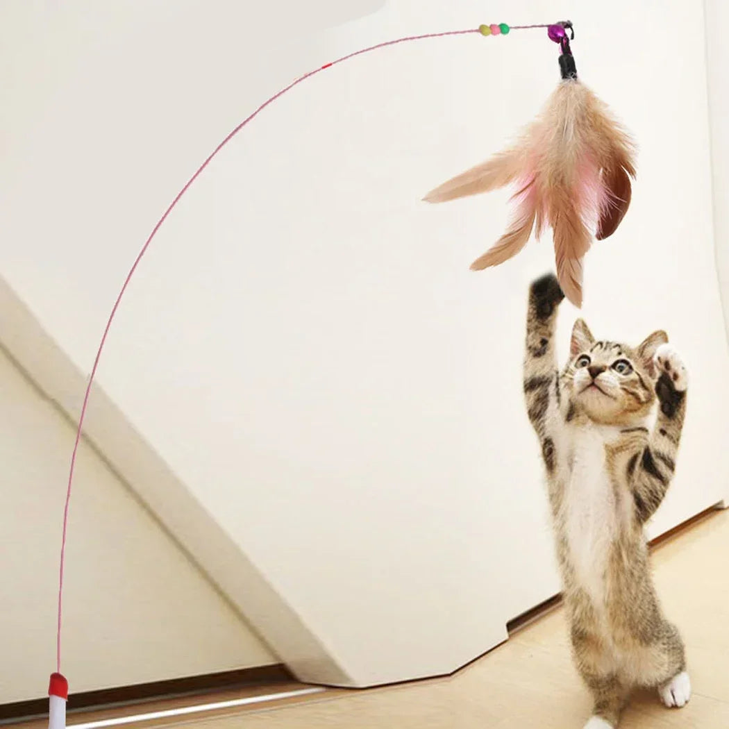 Cat Toy 2Pcs