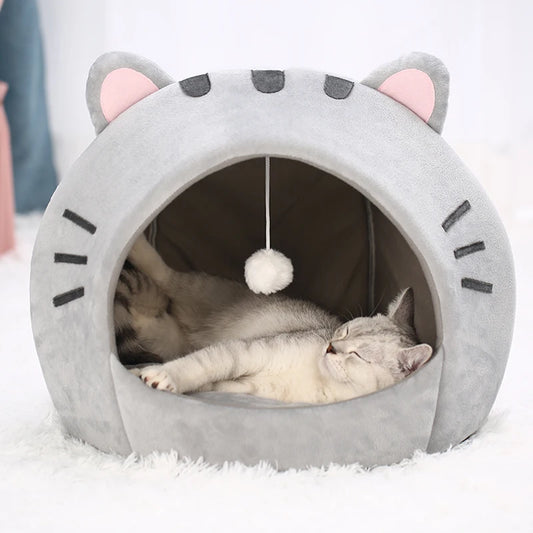 Cat House